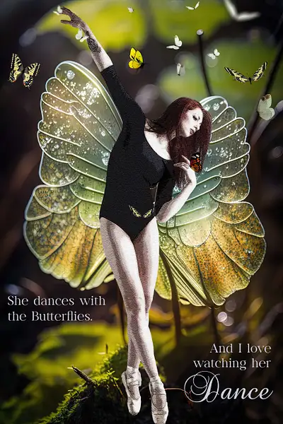 Dances with the Butterflies by Donna Elliot