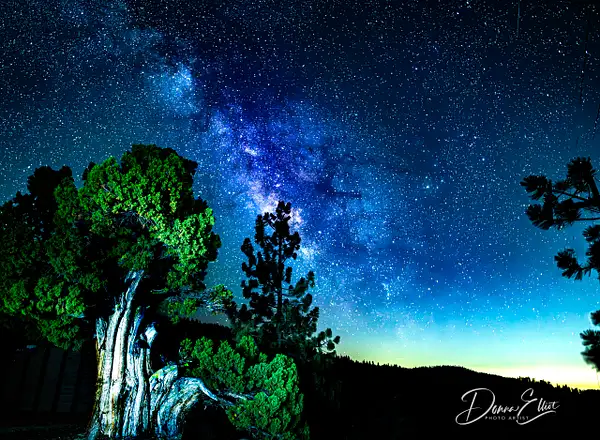 Milky Way Wishon 5 by Donna Elliot