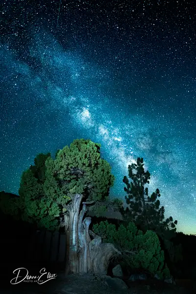Milky Way Wishon 4 by Donna Elliot