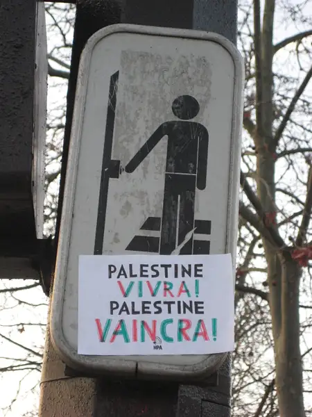 Long live palestine by Donna Elliot