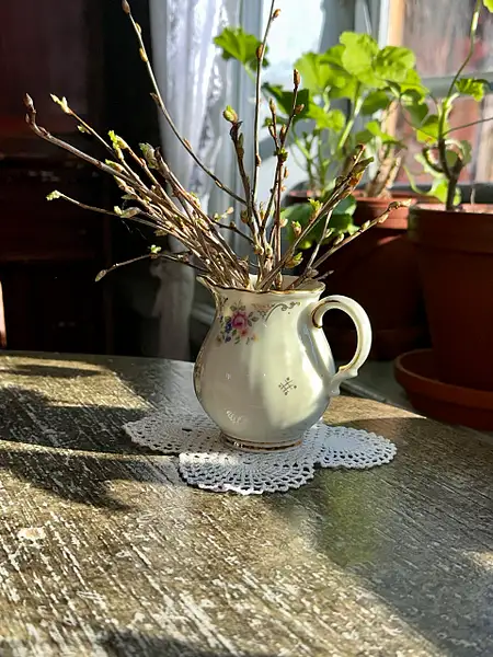 Vase in Sweden by Donna Elliot