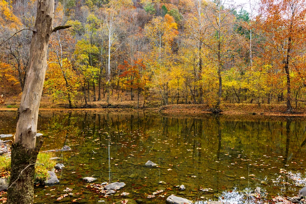Bluestone River Trail-7529