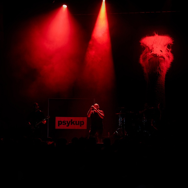 Psykup-TheBikini-Full-260 - Portfolio Concerts - Amélie Mari 