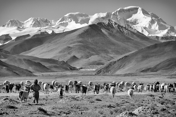 Tibert - Everest Trek 2005-3 - steve fagan 