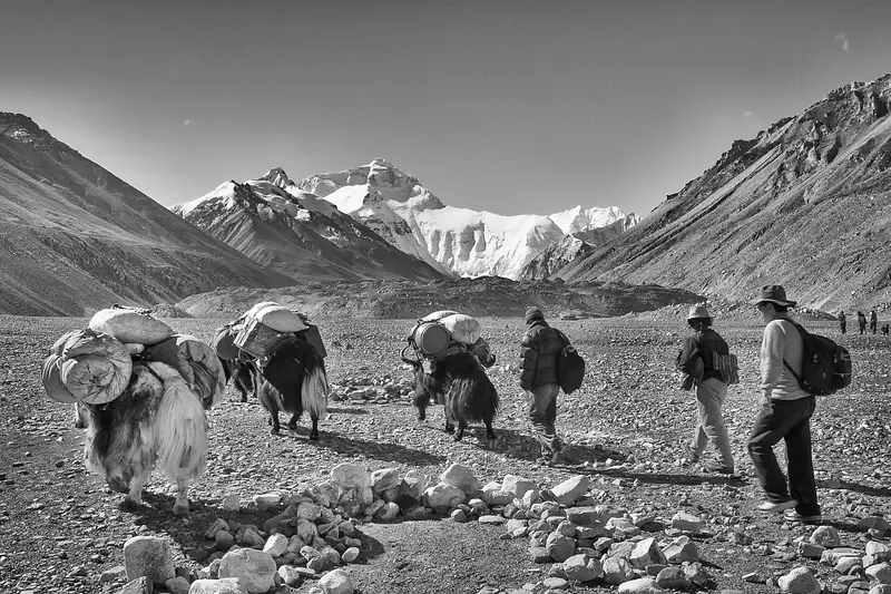 Tibert - Everest Trek 2005-13