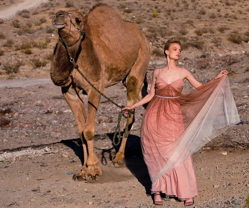 Lady and Camel
