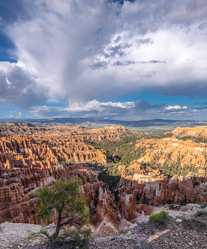 BRYCE CANYON _D850428-Edit