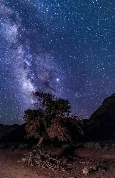 Milky Way_2_REV copy by NormSolomon
