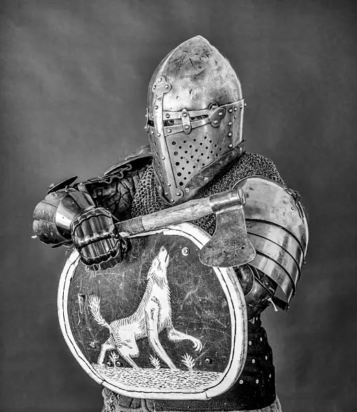 KnightCrop_8_NIK_D852836 copy by NormSolomon