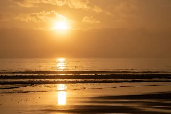 SAV_03_05_2024_1325_sunrise_ copy by NormSolomon