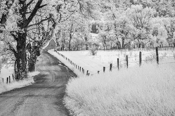 Norm_Smokies_5_6_24_35 copy 2 by NormSolomon