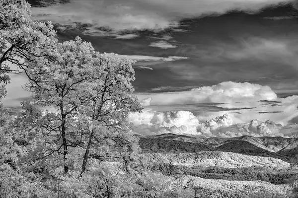 Smokies_5_6_2_53 copy by NormSolomon