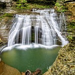 My Nature Photos