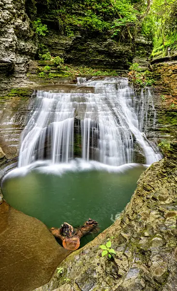 BUTTERMILK_2_ITHACA_PM_6_11_24_347 copy by NormSolomon