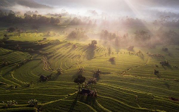 Sideman Bali foggy morning
