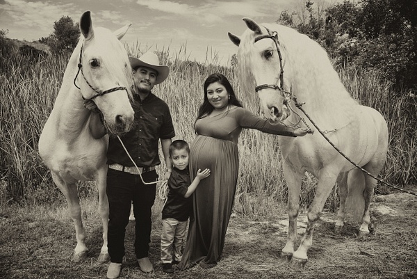 Family and Horses - Kelly Clark Creative