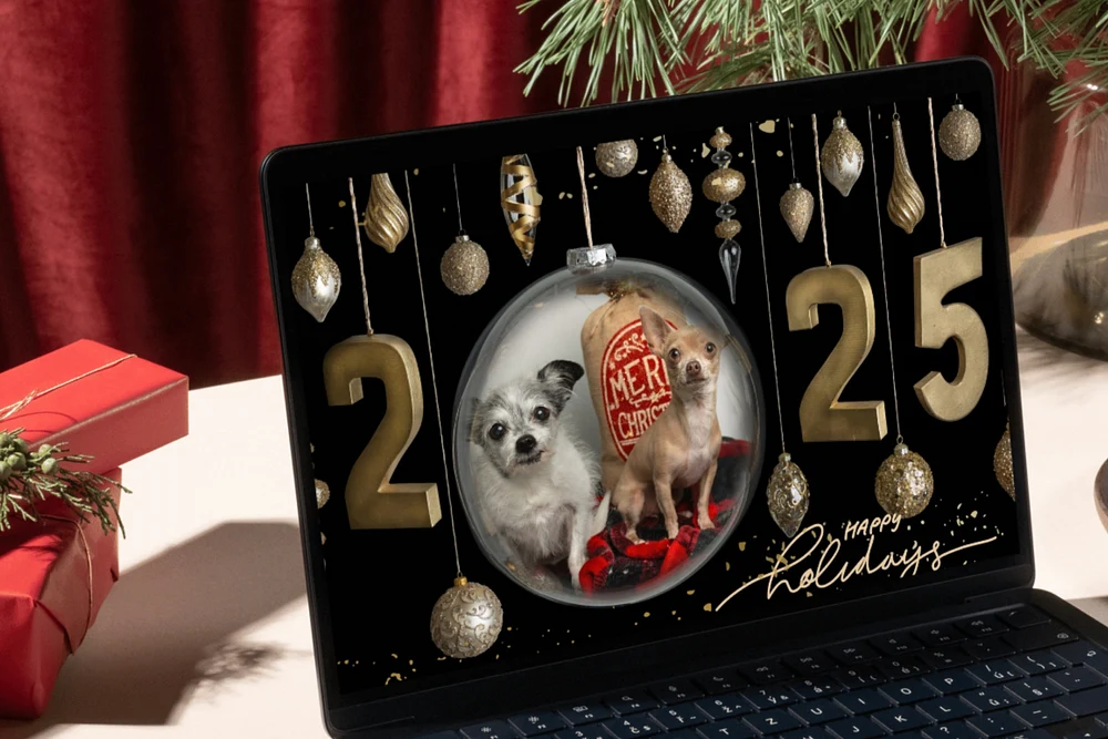 Simple Aesthetic Modern Calligraphy Family Christmas Photo Card.zip - 2