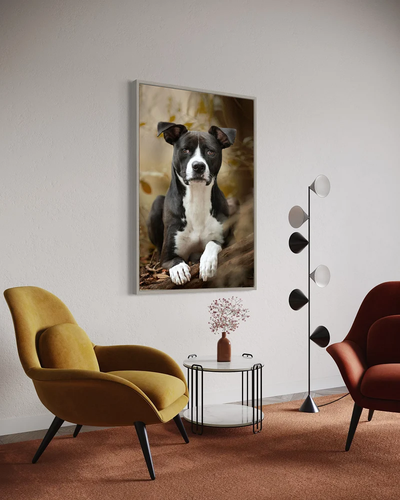 MAKO ON WALLframed pet photo