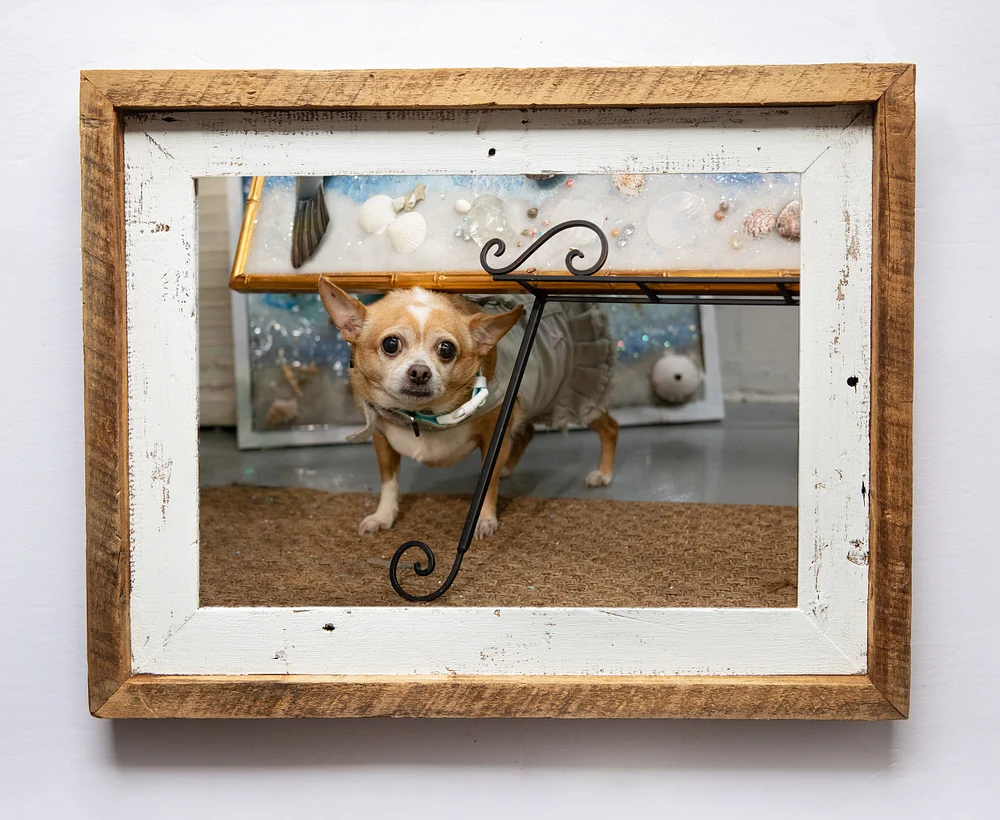 Artists-Chihuahua-under-mom's-artwork-framhouse-framed