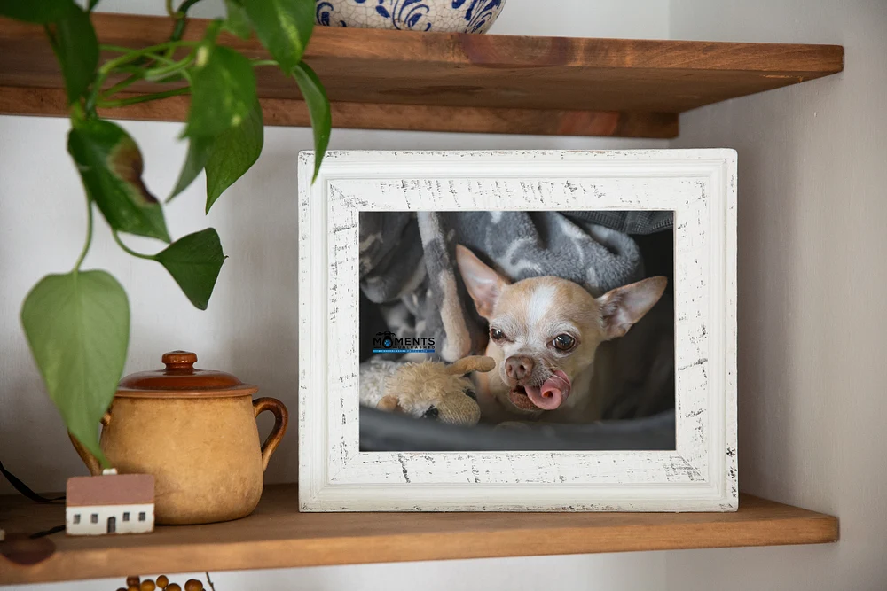 NAcho Framed tongue out