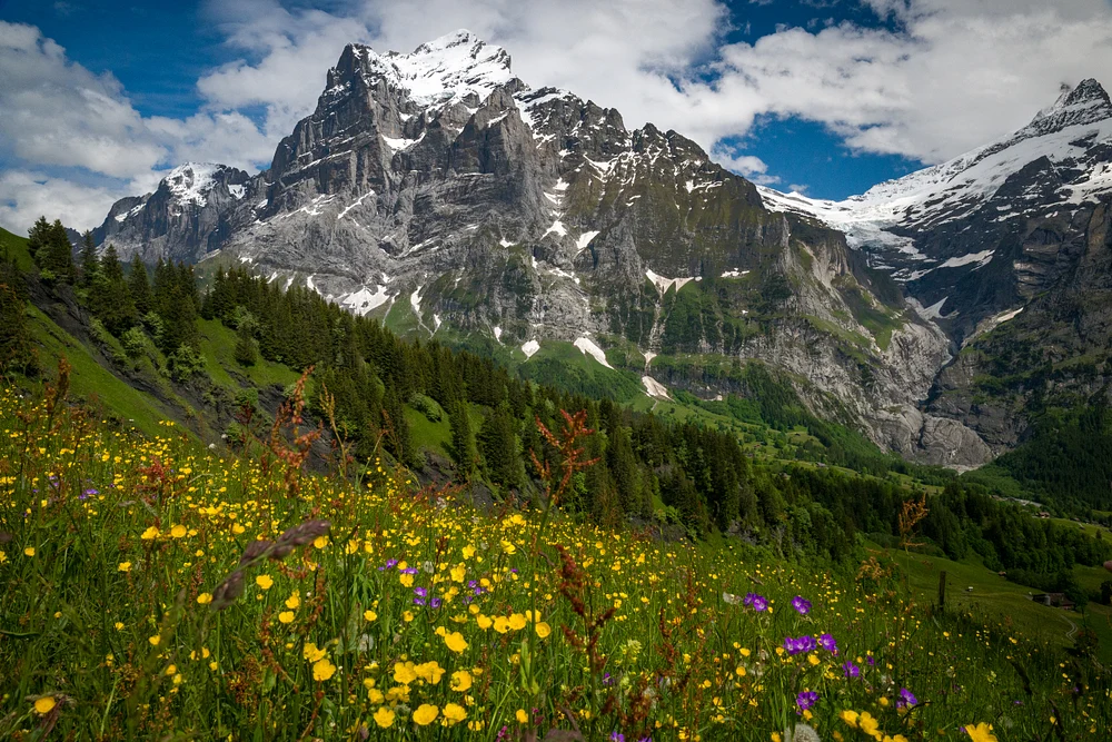 Glacier Express Train View