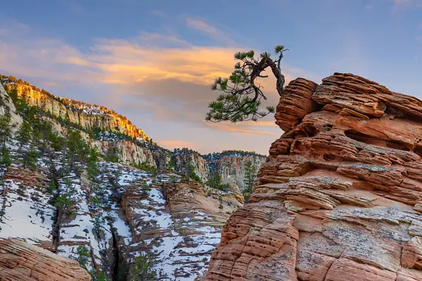 2022-02 Canyons of Utah by David Pitts by David Pitts