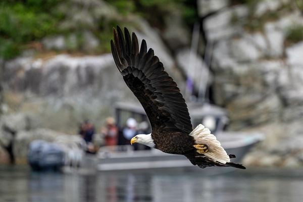Title - 2023-06 Nanook Lodge - David Pitts Photographer