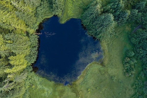 DJI_20260722095724_0006_D.jpg - 2026-07 Alaska - David Pitts Photographer