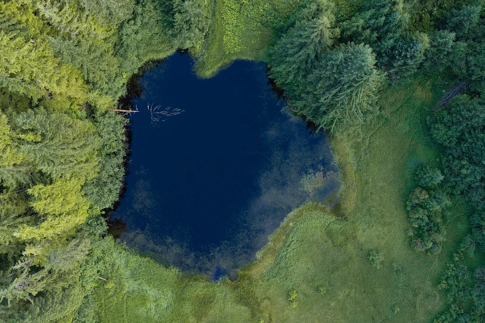 DJI_20260722095724_0006_D.jpg