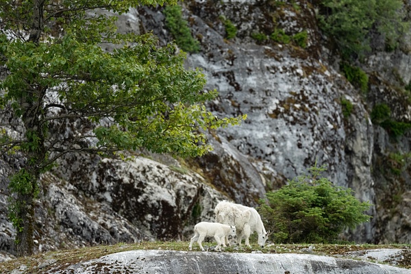 M2B03916-Edit.jpg - 2026-07 Alaska - David Pitts Photographer