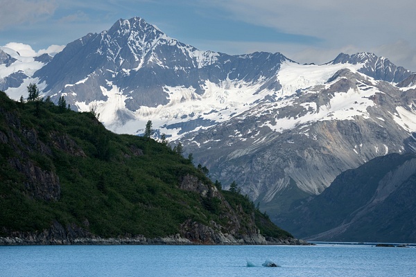 M2A01500.jpg - 2026-07 Alaska - David Pitts Photographer