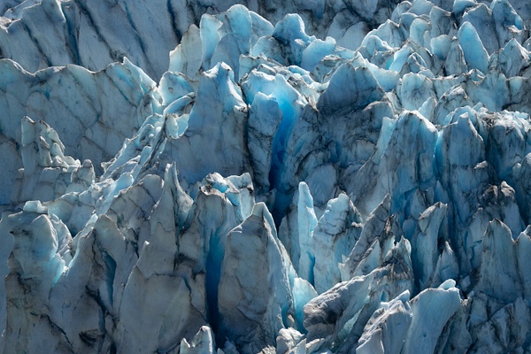M2A01364.jpg - 2026-07 Alaska - David Pitts Photographer