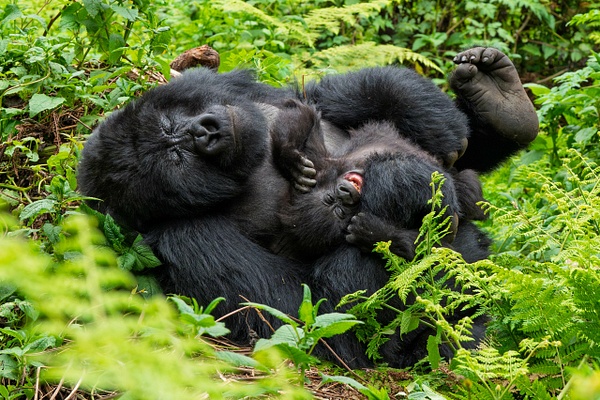Mother and Baby - Portfolio - David Pitts Photographer