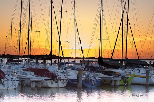SA  sunset sticks yachts 24-1-19 (1 of 1) - South Australia - Rod Walker Photography