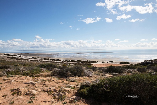 WA Gascoyne Junction Road 9.   4-9-18 (1 of 1) - Western Australia - Rod Walker Photography