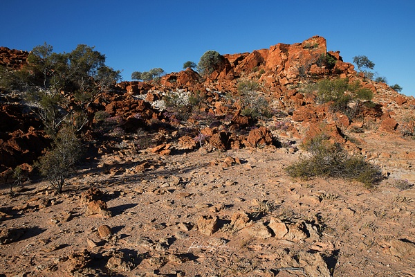 WA Gascoyne Junction Road 5 (1 of 1) - Western Australia - Rod Walker Photography