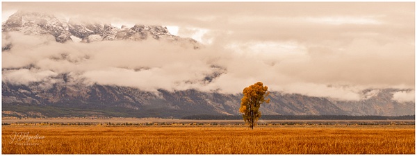 FA Mormon Row-09 - Fine Art - J. D'Agostino Photography