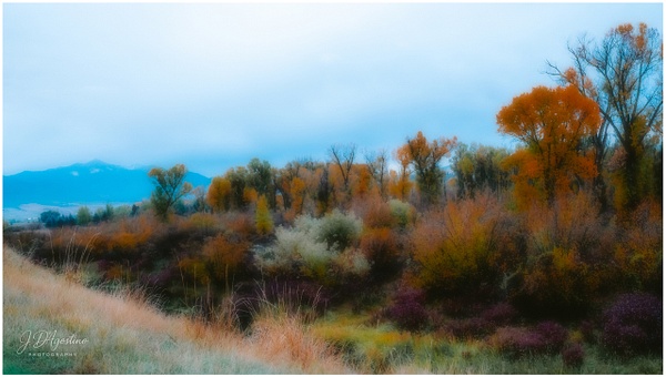 FA Mormon Row-10 - Fine Art - J. D'Agostino Photography