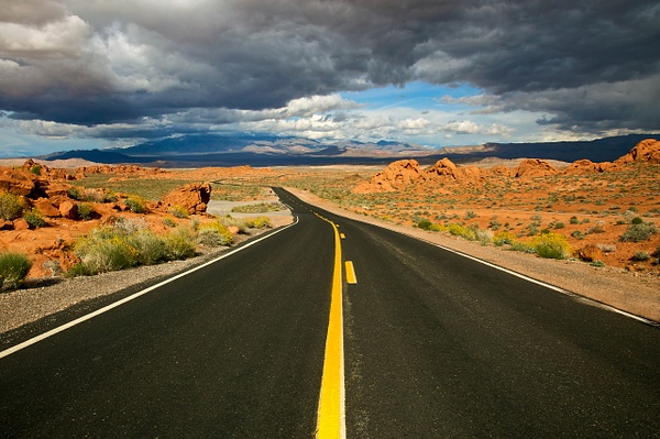 Desert Road In Valley of Fire - Rozanne Hakala Photography