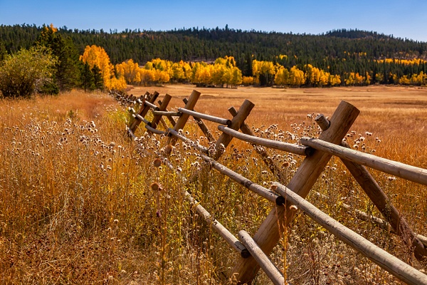 Fence Line in Fall - Rozanne Hakala Photography