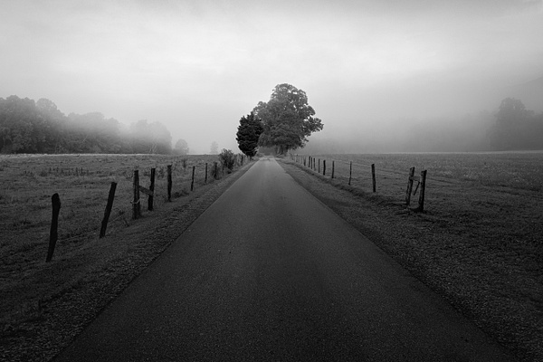 Misty Morning at Cades Cove - Rozanne Hakala Photography