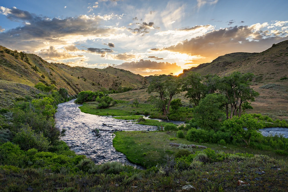 Bluegrass Creek Sunset