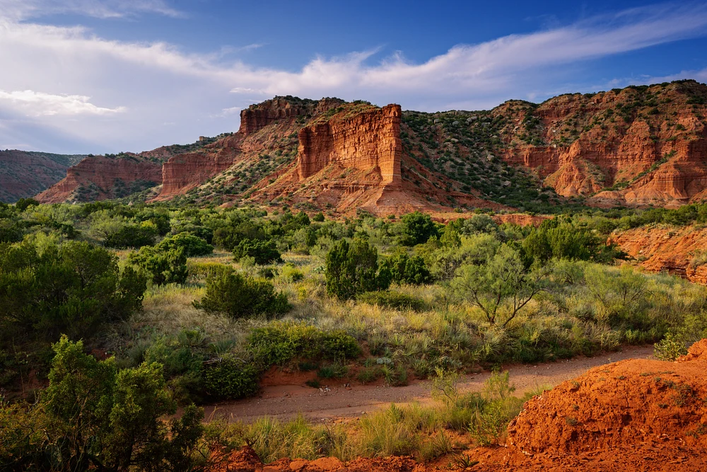 Caprock Canyons Golden Ho