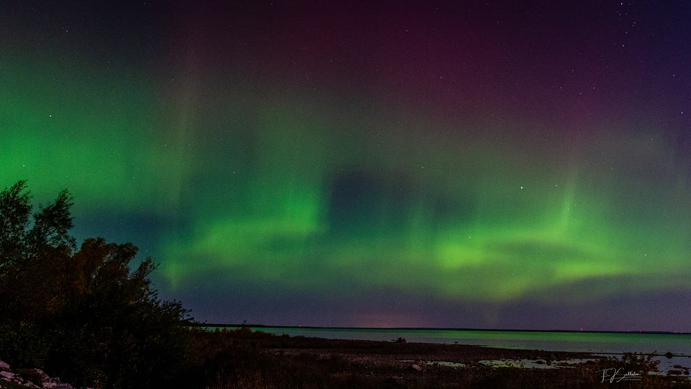 A captivating view of the Northern Lights illuminating the sky over a Michigan landscape.
