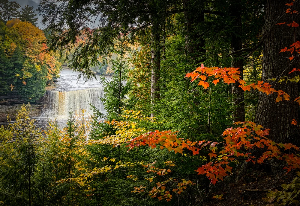 A serene waterfall surrounded by vibrant autumn leaves in Michigan's forest.
