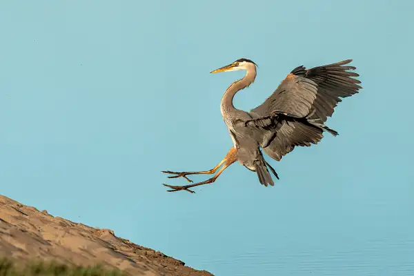 2025-03-24 - Pt Reyes - 02620-2.jpg by Steve Cassel