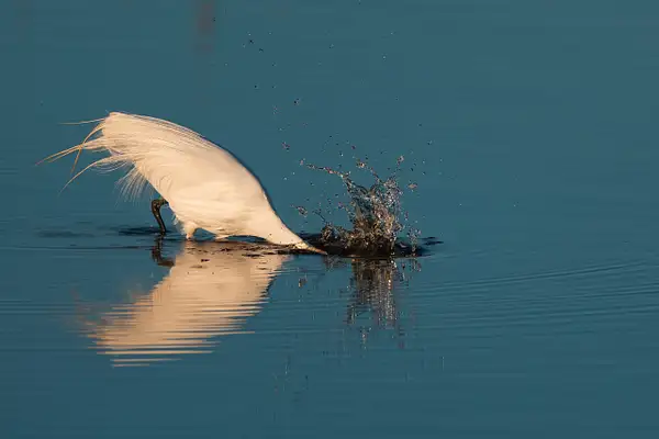 2025-03-24 - Pt Reyes - 02744.jpg by Steve Cassel