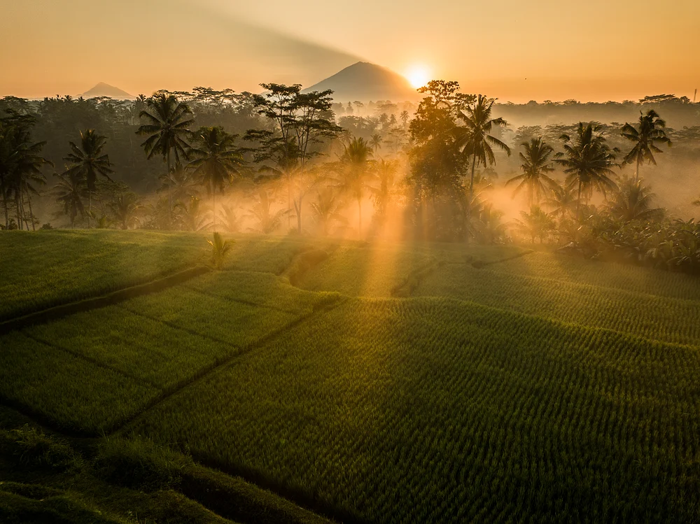 DJI_0847