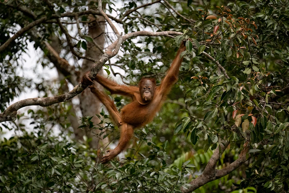 DSC_2920
