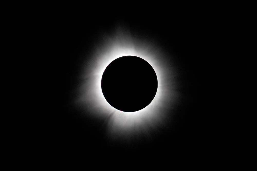 DSC_4205